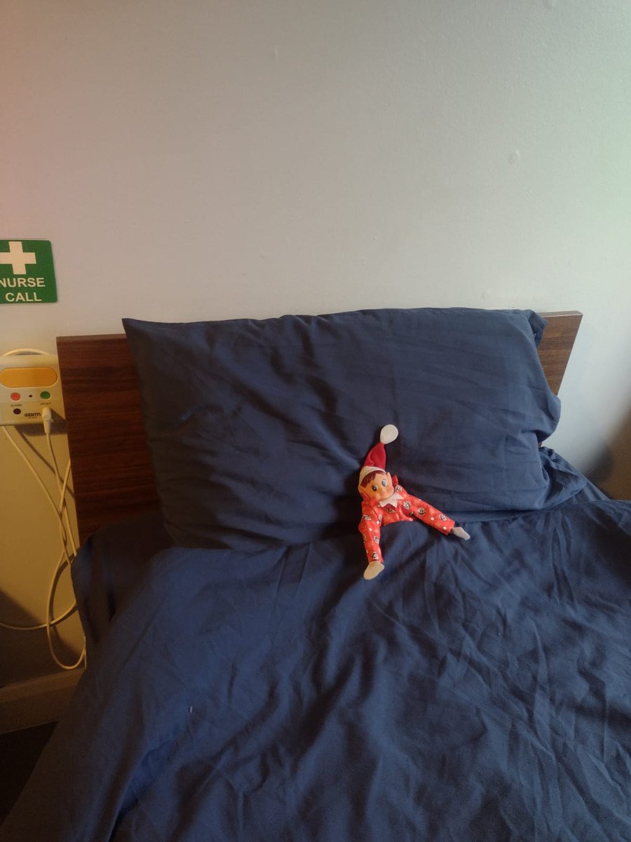 Dear Albert tweet media