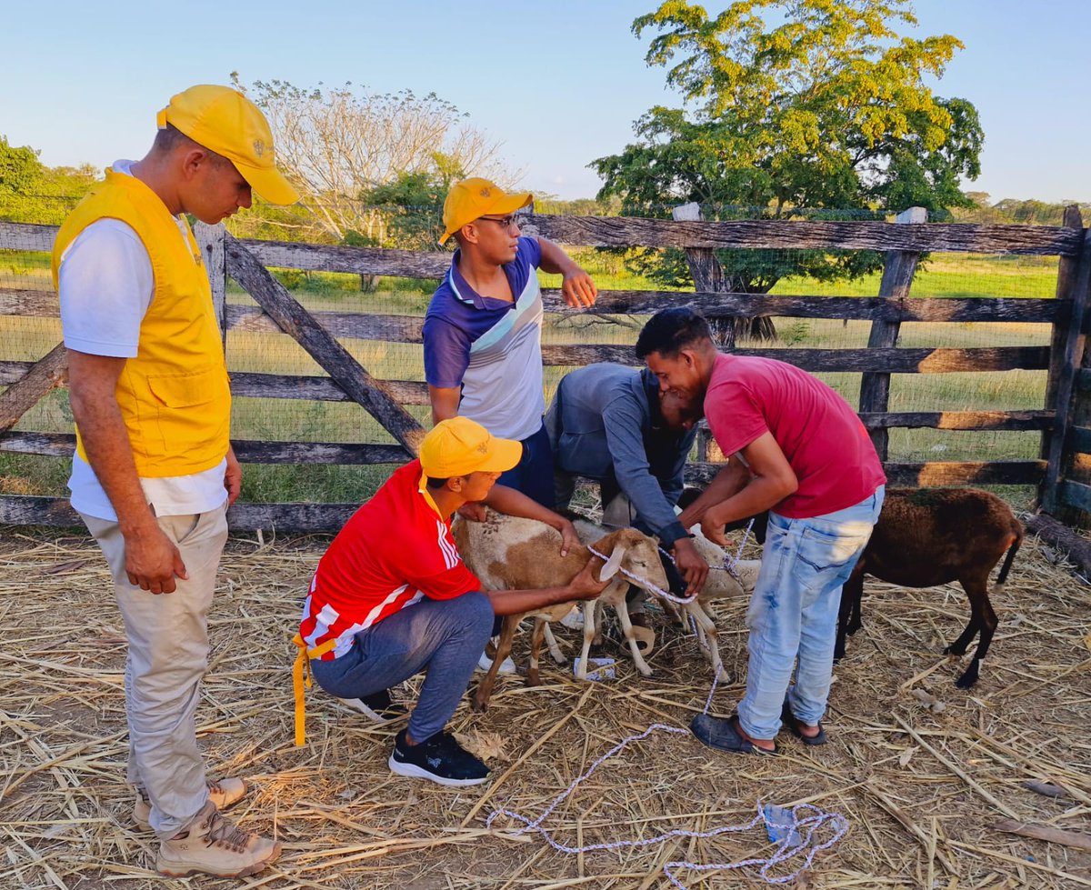ProsperidadCol's tweet image. ¡Avanzamos en la lucha contra el hambre! A través de la Red de Seguridad Alimentaria #ReSA y la iniciativa Unidades Productivas para Autoconsumo (UPA), en alianza con @WFP_Colombia, beneficiamos a 13.800 hogares vulnerables en 6 departamentos y 17 municipios.
@AndreaFeoM