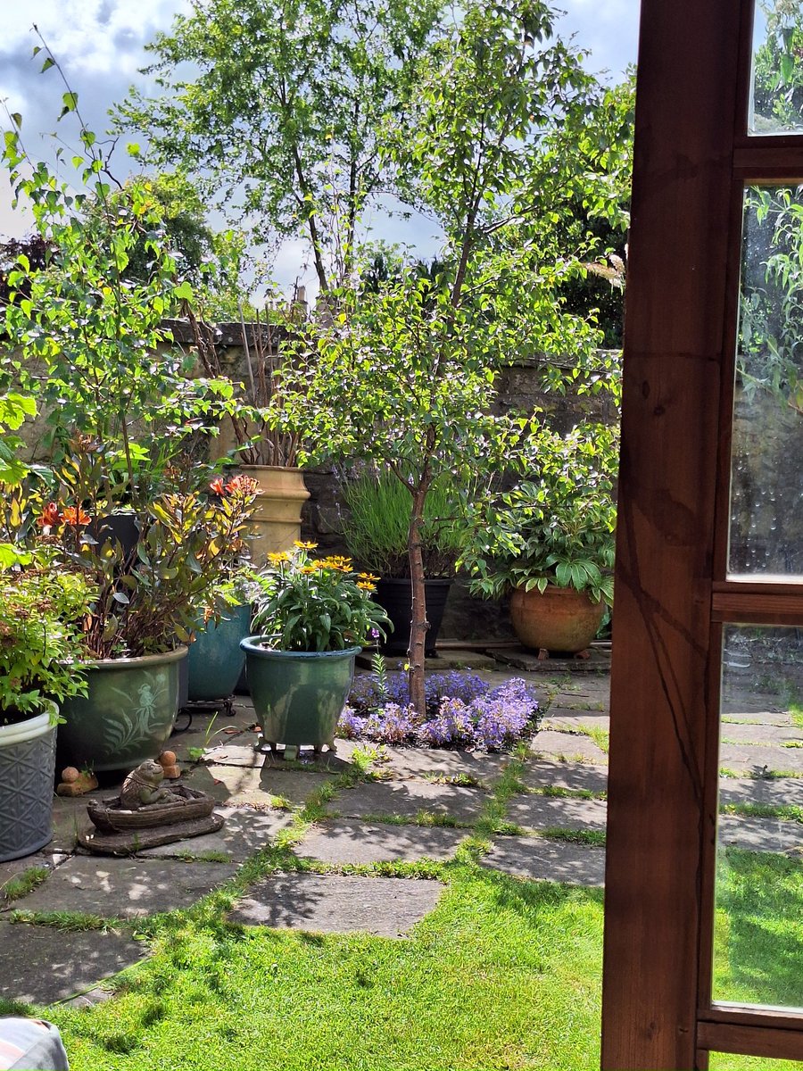 Bruce Findlay /power to the people 🕊✌ tweet media