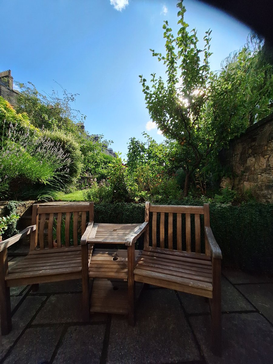 Bruce Findlay /power to the people 🕊✌ tweet media