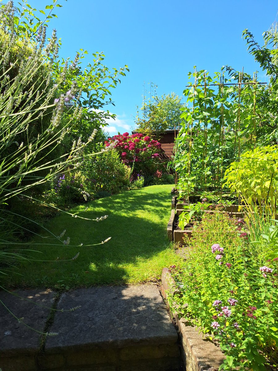 Bruce Findlay /power to the people 🕊✌ tweet media