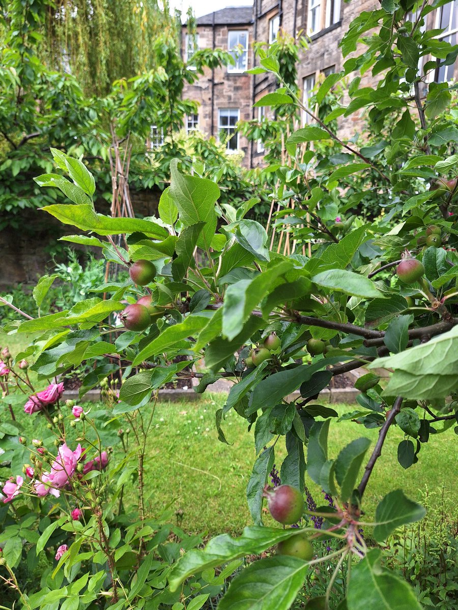 Bruce Findlay /power to the people 🕊✌ tweet media