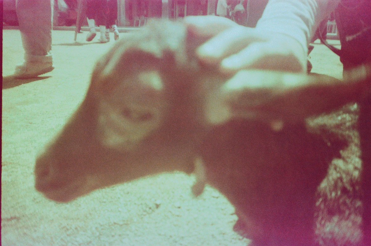 l’altre dia vaig trobar una càmera antiga a casa i encara tenia el carret allà per revelar. només per la curiositat, sense cap esperança que s’haguessin salvat, el vaig portar a revelar🥹🥹🥹🥹🥹