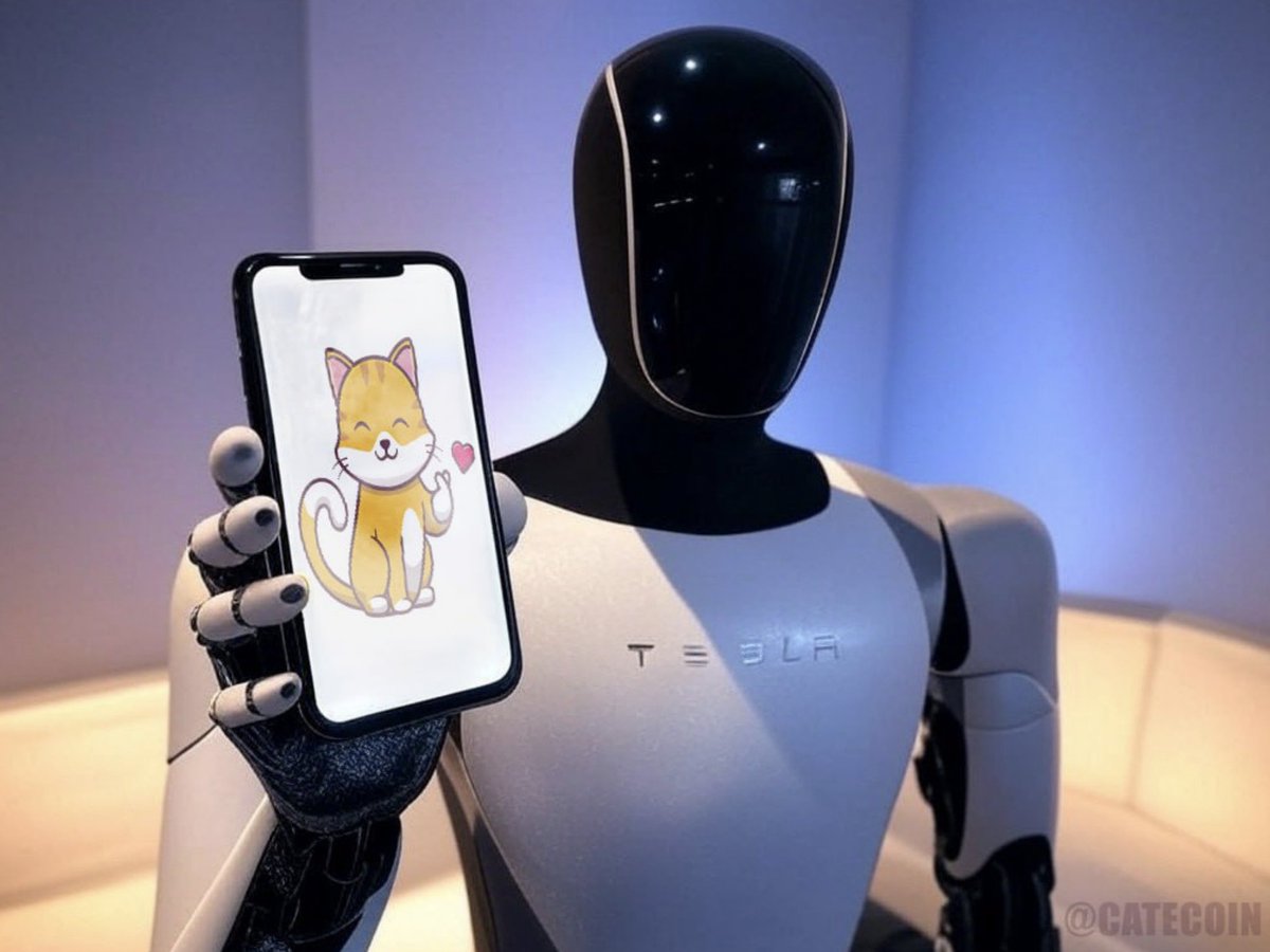 CateCoin (@catecoin) on Twitter photo 