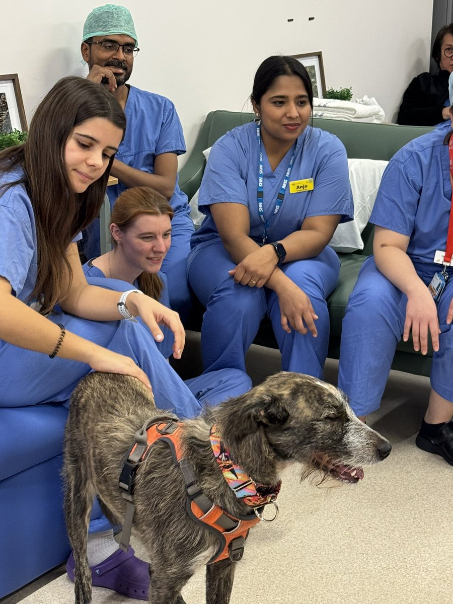 ILoveDodgerDog tweet media