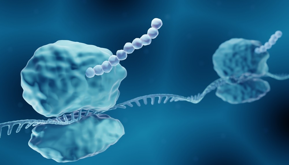 PNASNews's tweet photo. A new, fundamental role for #transferRNA in #ProteinSynthesis is likely to make its way into #CellBiology textbooks in the coming years. In PNAS Journal Cub: https://t.co/Ed87Bxi7i1 #translation #ribosome #messengerRNA #genetics https://t.co/CDygf34kg7
