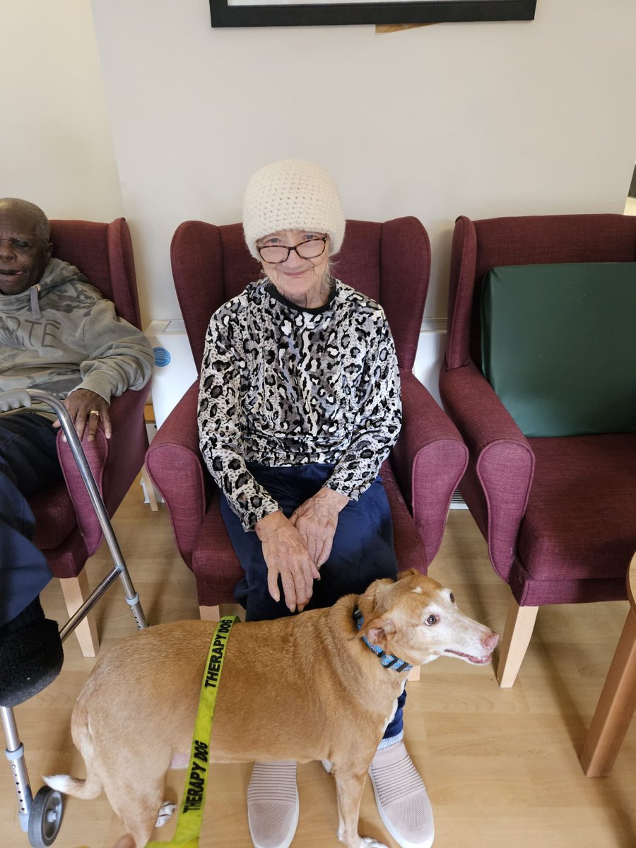 ILoveDodgerDog tweet media