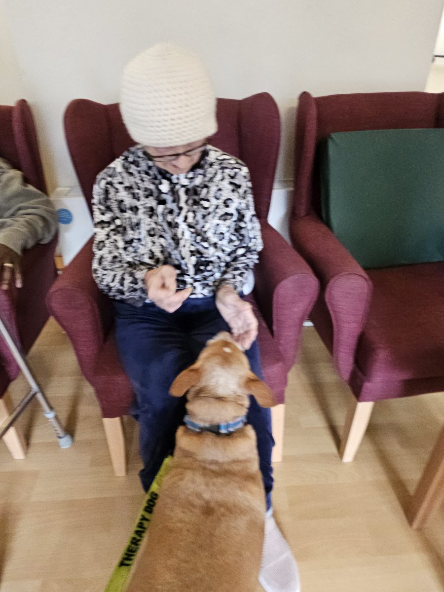 ILoveDodgerDog tweet media