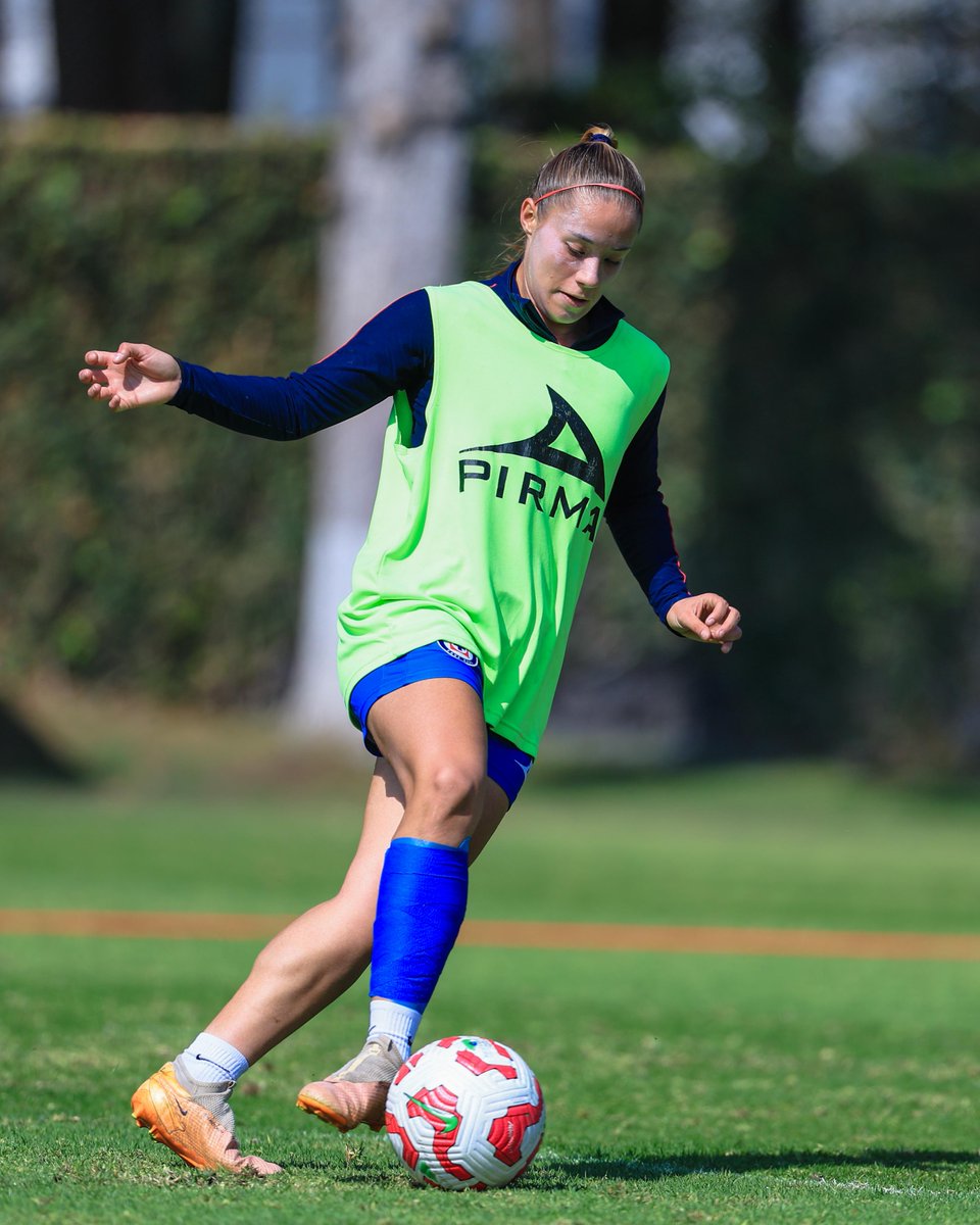 AzulFemenil's tweet photo. ¡Seguimos! 💪🏻 https://t.co/PH0fDPJF1l