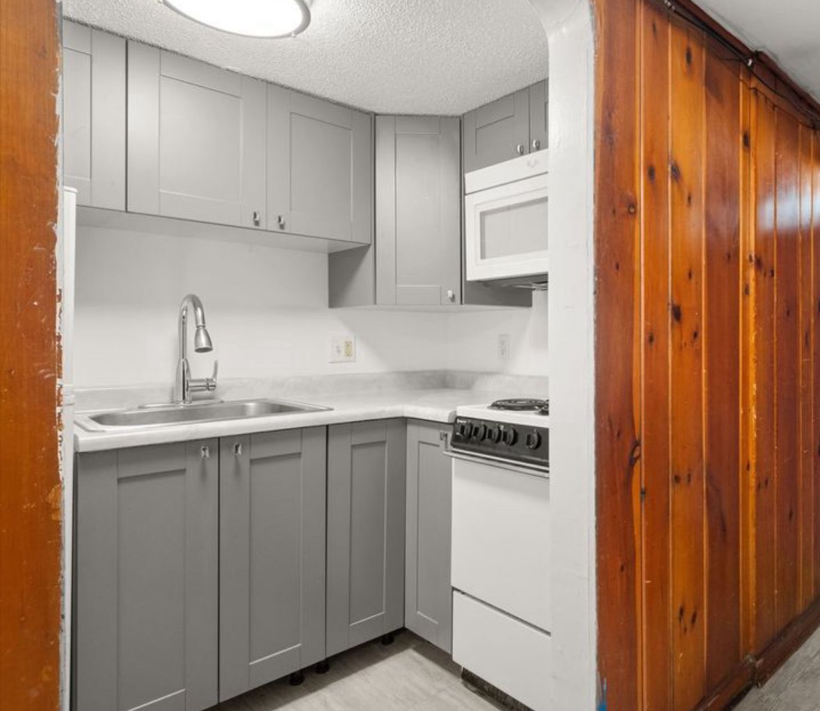 molly ashford tweet media