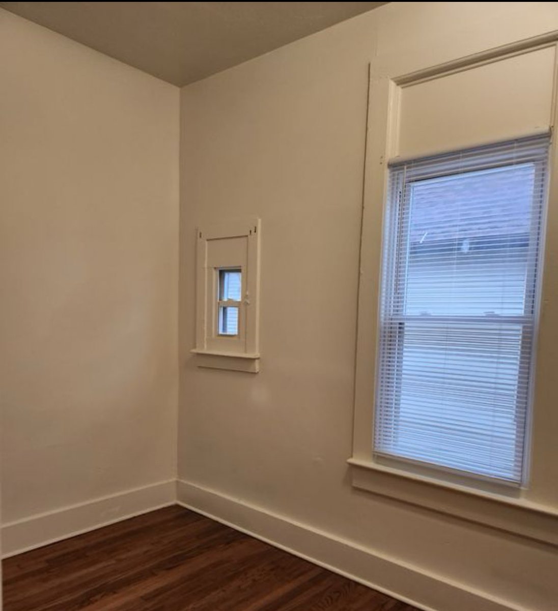 molly ashford tweet media