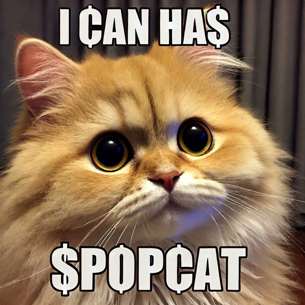 dougfowler's tweet photo. @krakenfx $1,000 $popcat plz https://t.co/3ryHcqJBrN