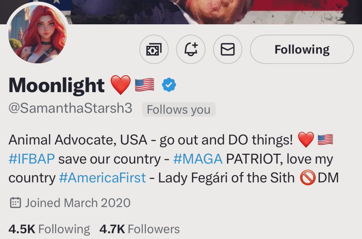 Pino Americano tweet media