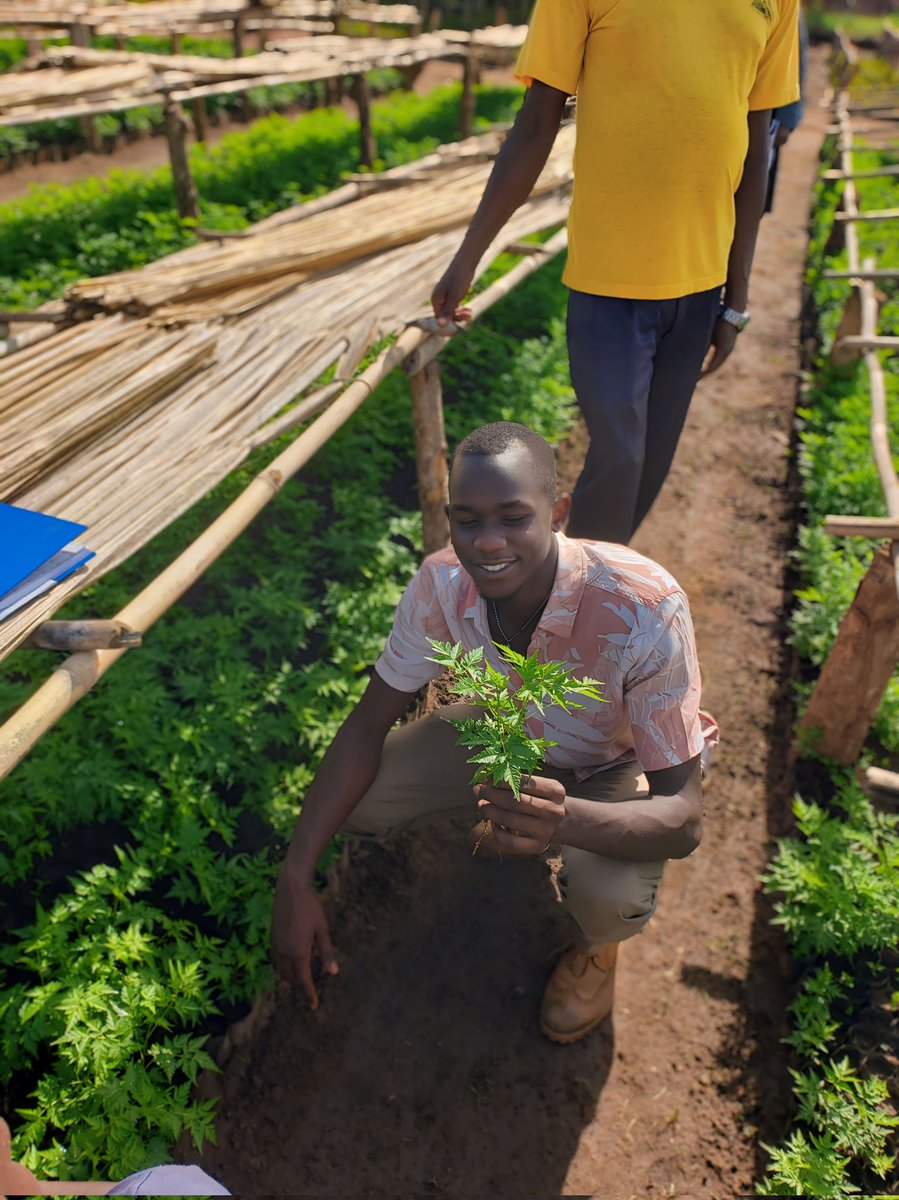 ogen_ivan's tweet image. Did u know coffee and cocoa can do well in northern Uganda