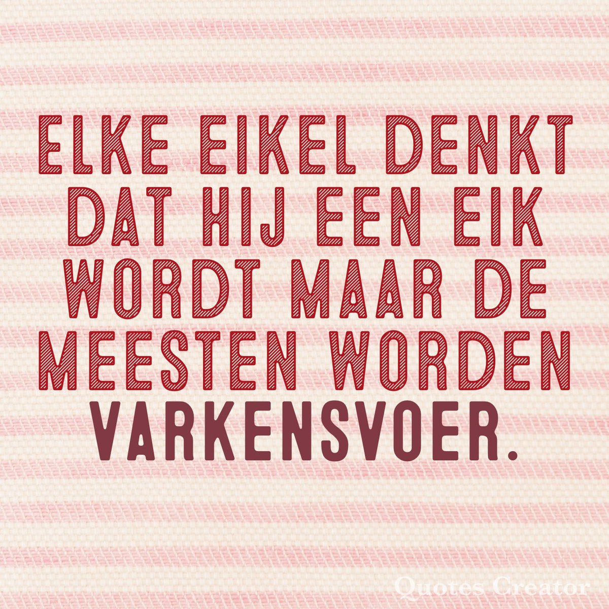 Quote van vandaag (@quotevanvandaag) on Twitter photo 