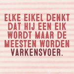 Photo by Quote van vandaag (@quotevanvandaag)