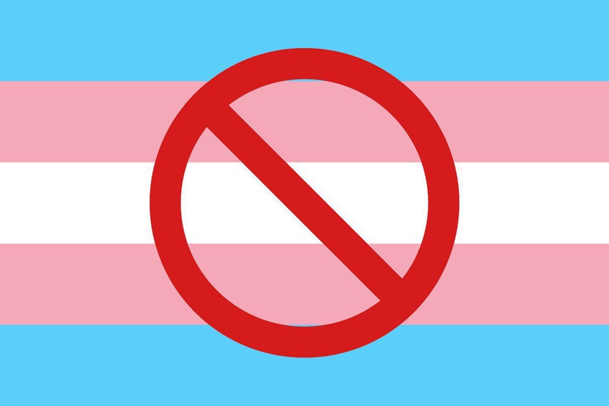 DramaAlert's tweet image. Puberty blockers BANNED indefinitely for minors in the UK. 😲‼️