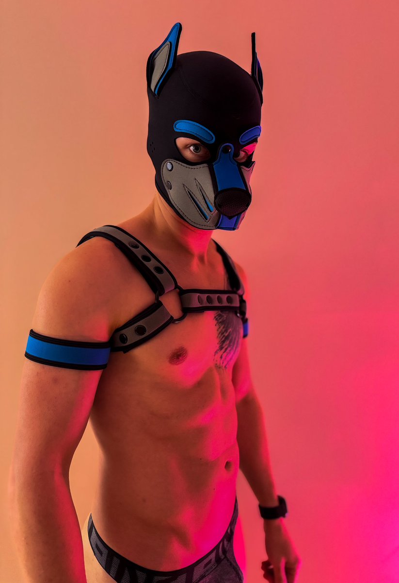 Do this pup a favor. Help Neo hit 1000 followers by the New Year 🐶❤️