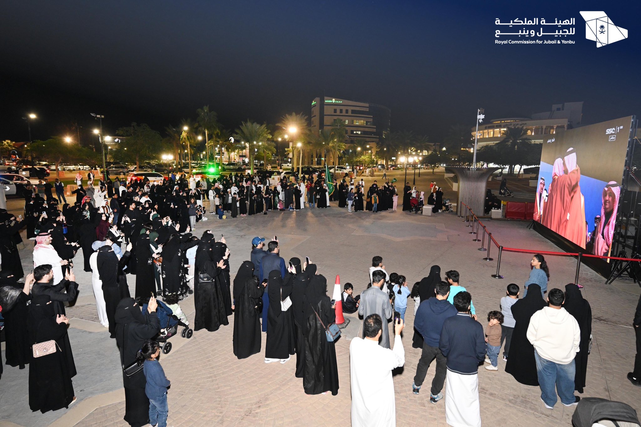 الصورة