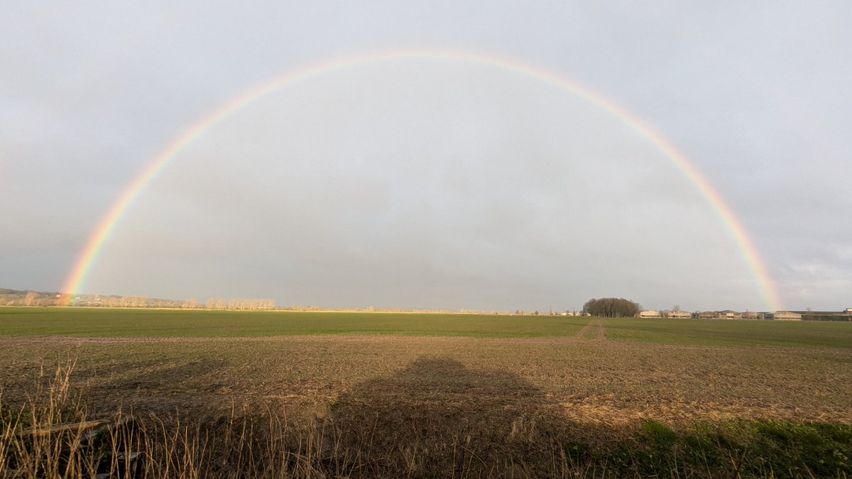 In the farm yard there must be a pot of gold.....?