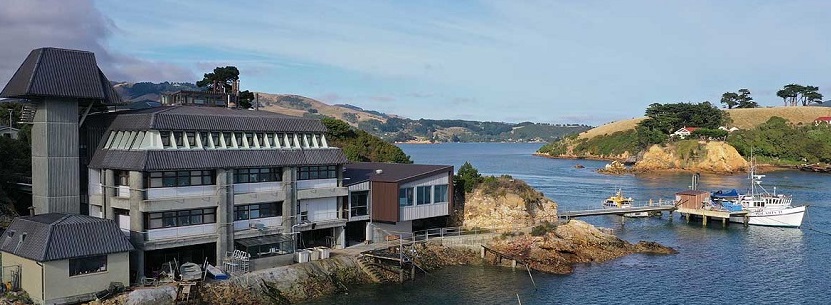 Robert Smith tweet media