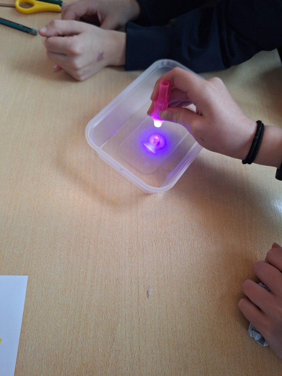 Michelle Bishop tweet media