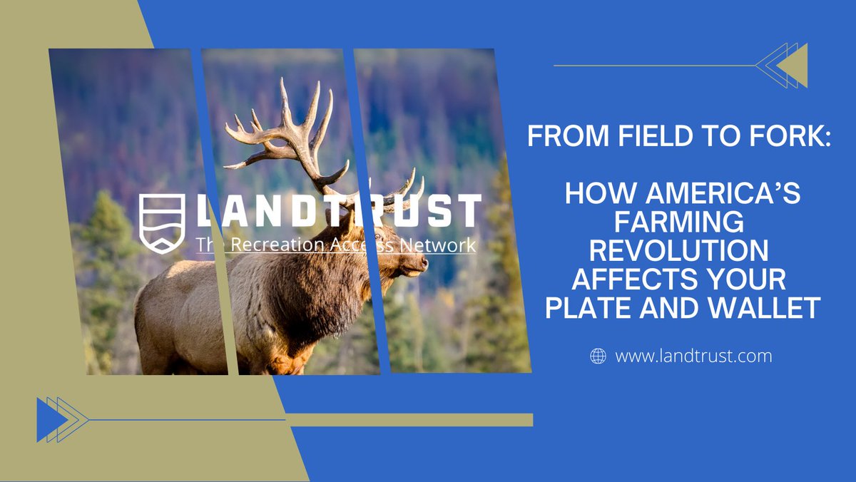 Tim Hoerr tweet media