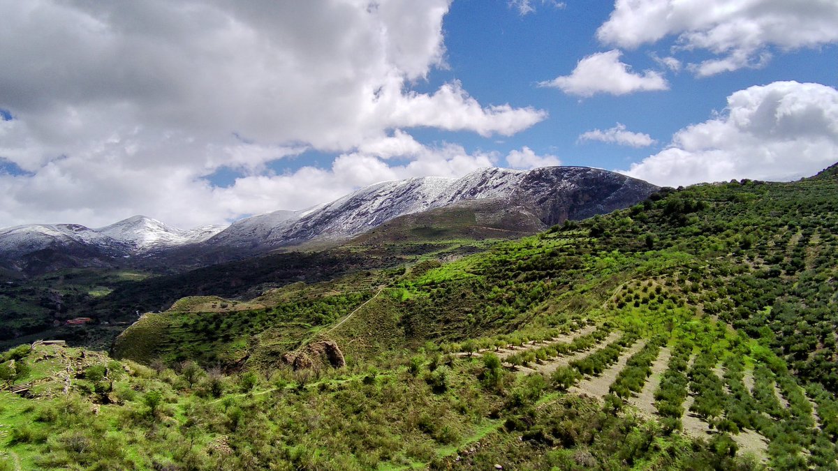 UnicornTeamRuta's tweet photo. Feliz día internacional de la montaña a todos! 
#montañas #senderismo #turismomontaña
#Trekking #montañeros https://t.co/q5eHf2bTfW