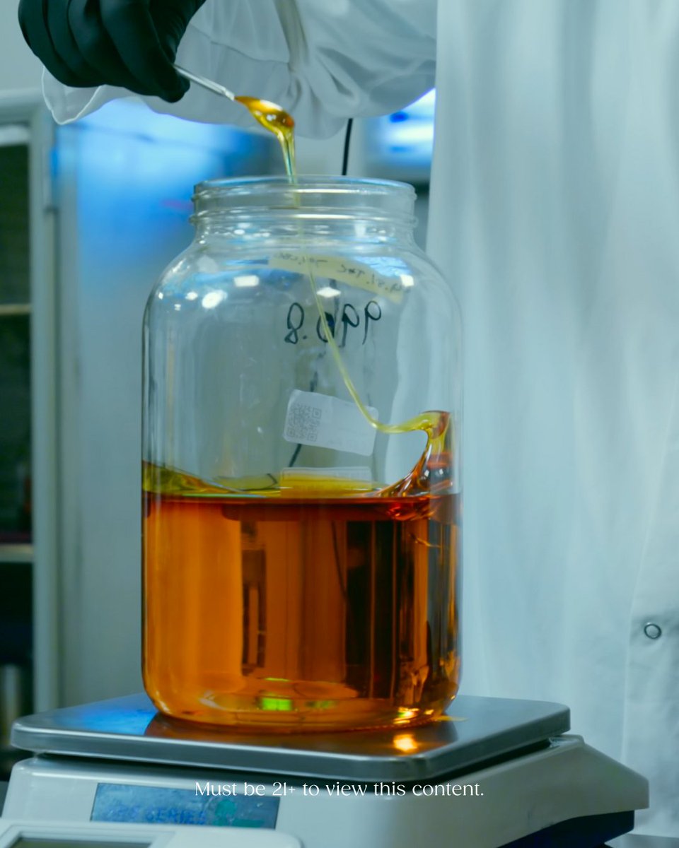 TrulieveMD's tweet photo. Behind the curtain.🔥 Get a sneak peek into the art and science of crafting premium concentrates. From the delicate extraction process to the perfection of terpene preservation, this is where the magic happens. ✨ #Concentrates #Badder #Budder #TrulieveMD https://t.co/vZ4ADv7lut