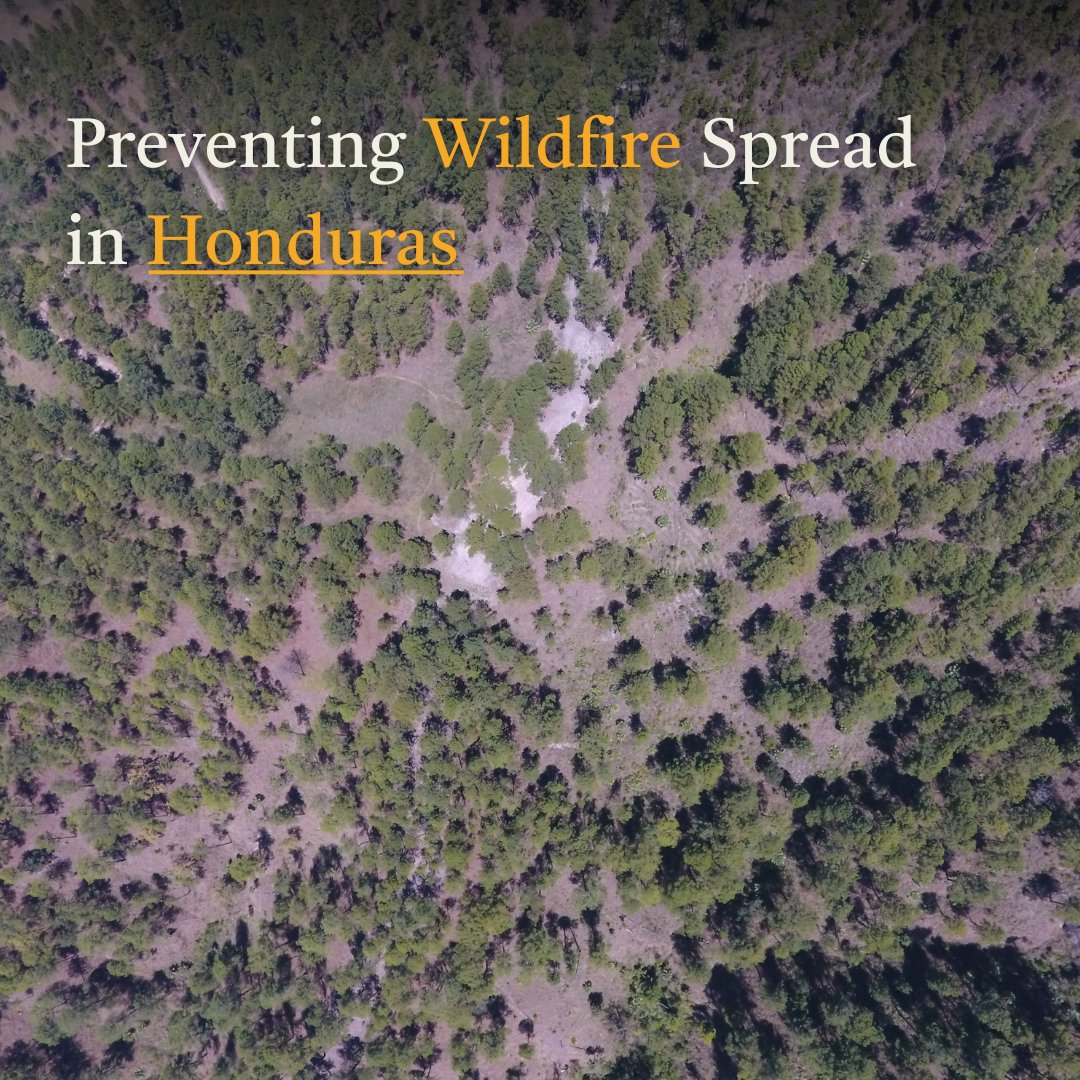 Eden: People+Planet tweet media