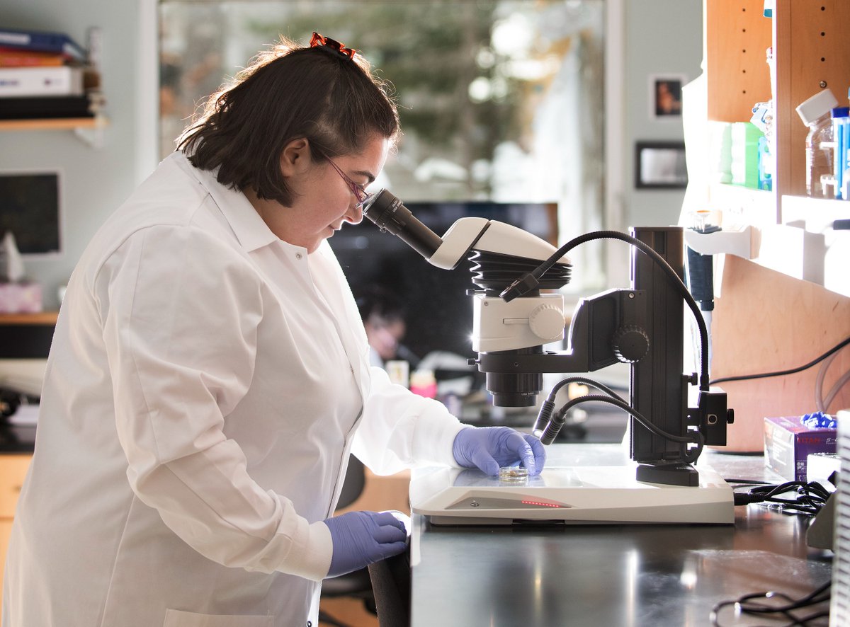 Subscribe to MDI Biological Laboratory’s eNews! From breakthroughs in #regenerativemedicine to milestones in our growth, you can stay up to date with our latest news: mdibl.org/support/stay-i…