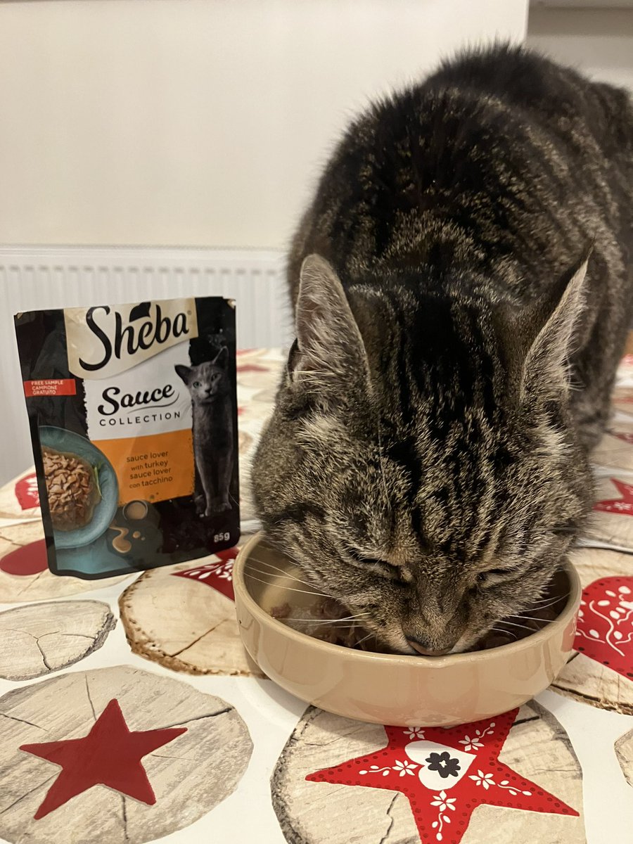 MiningLibrarian's tweet photo. My cat gets for more #Triyit goodies than I do… but at least she enjoyed this one from @ShebaUK thanks to their new sauce collection! #allTheyWantIsSheba #gifted https://t.co/PQdgpkAC1z