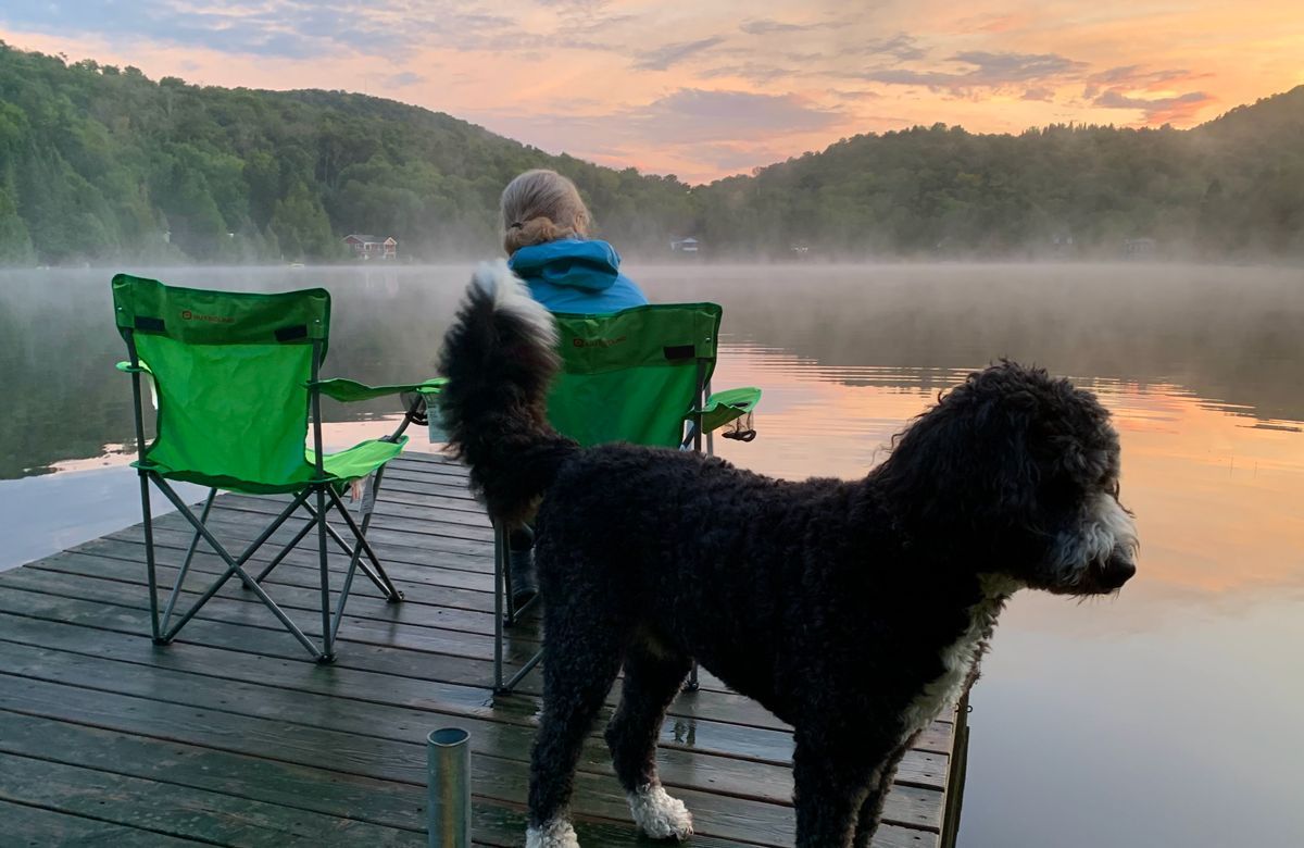 Allan Wille tweet media