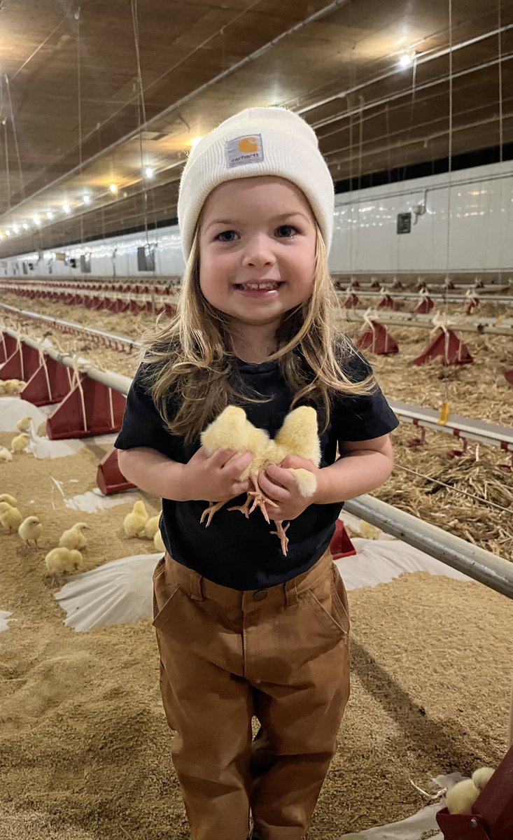 The official judges have selected the category winners - now it's your turn!  Head over to our Facebook page and vote for your favourite photo in the 5th annual Ottawa Valley Farm Show "People's Choice" contest.  

facebook.com/ottawafarmshow