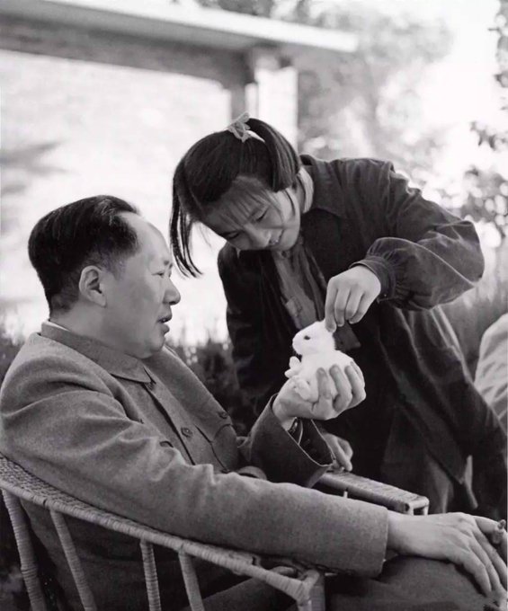 PamphletsY's tweet image. Bunnies are Maoist