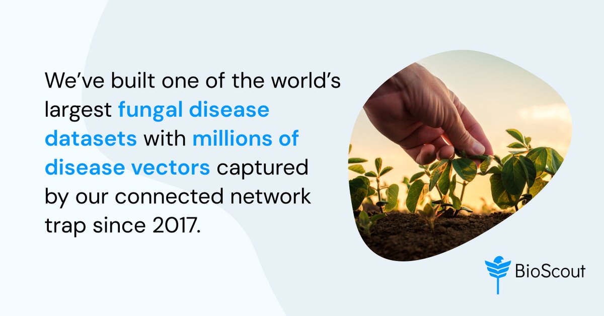 BioScout's tweet photo. Transform crop protection with BioScout! Our Automated Disease Surveillance detects airborne threats like fungal spores, giving you real-time insights and early detection. 

Learn more: https://t.co/eG6wu7Ousx

#AgTech #BioScout https://t.co/27eoVhahFM