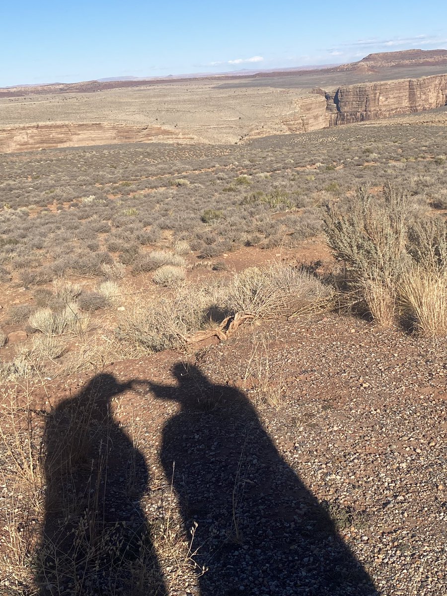 Nathan☔ tweet media