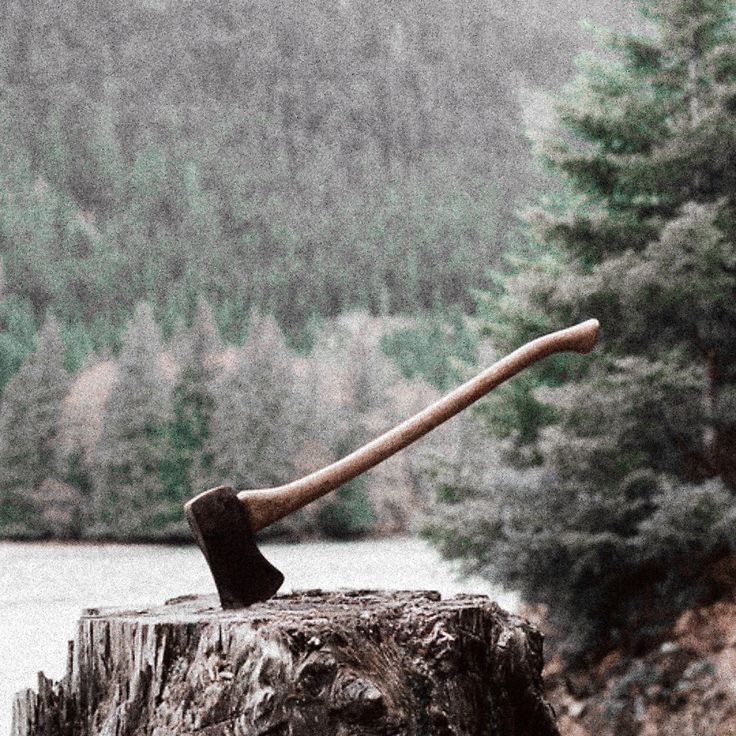 𝙍𝙚𝙙𝙨𝙩𝙖𝙜 (@toredstag) on Twitter photo 