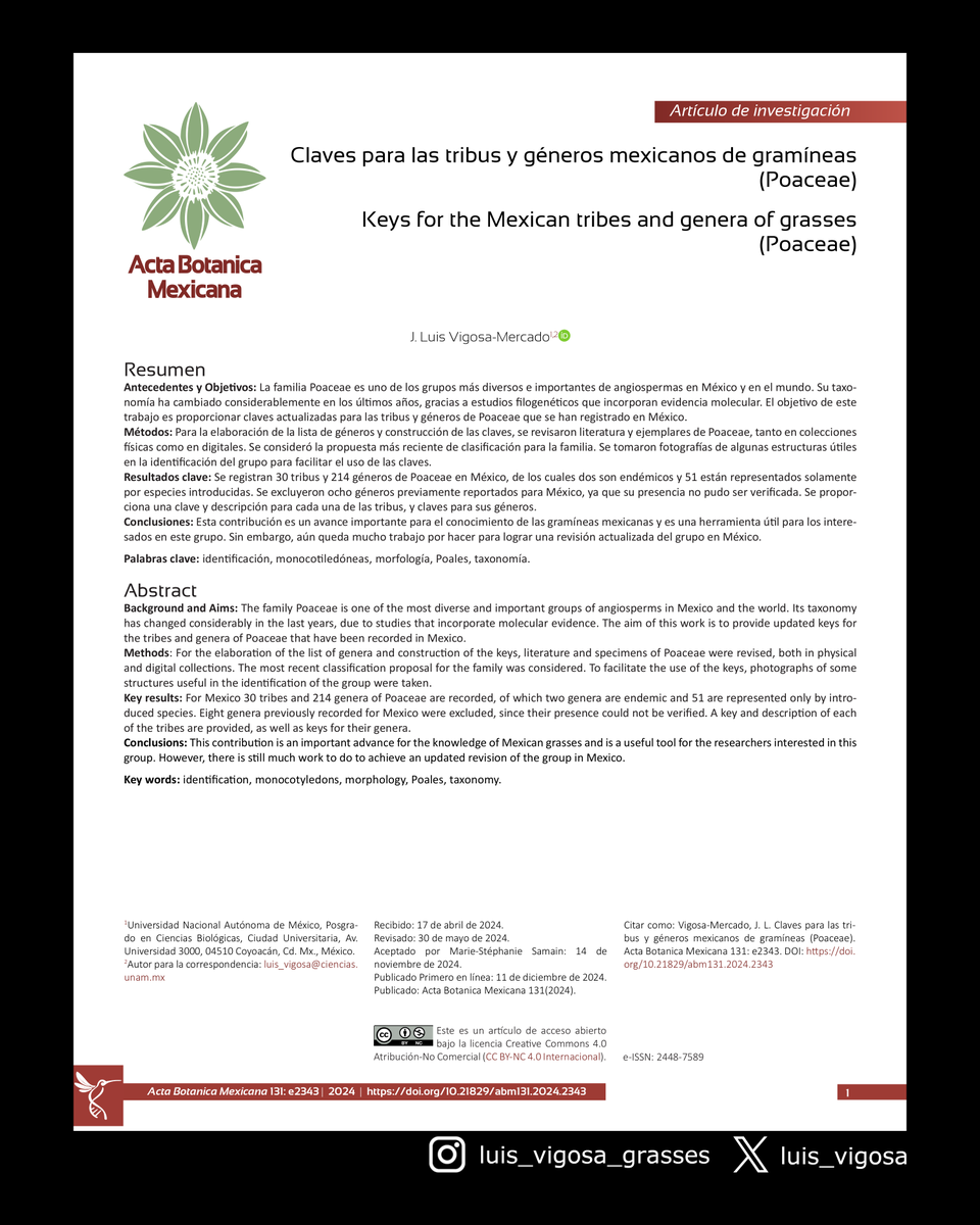 luis_vigosa's tweet photo. Me complace compartirles este artículo con claves para 30 tribus y 214 géneros de gramíneas mexicanas / I´m pleased to share with you this paper with keys for 30 tribes and 214 genera of Mexican grasses 

#botany #grasses #taxonomy 

https://t.co/osCsQbTfIY https://t.co/3PeHaRDaO2