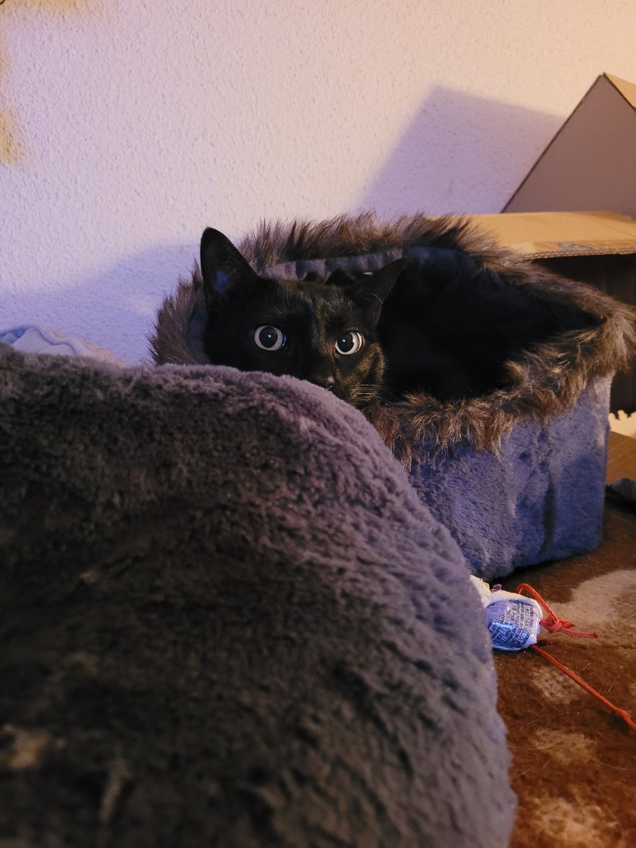 Muerte3☠☠☠ tweet media