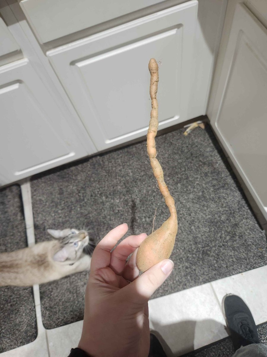 TeagueUnknown's tweet photo. Me vs The Guy he tells you not to worry about

#smalldick #thinAF https://t.co/f2kNcvkSFh