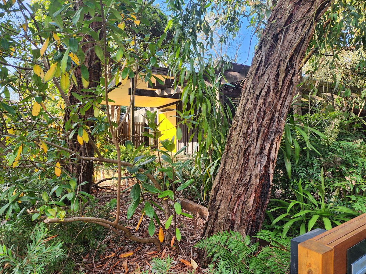 Secret_Design's tweet photo. Designed by Dutch architect Gerrit Hartland for himself, it was an audacious design based around a timber portal frame, a butterfly roof, and a series of courtyards. While it was very beautiful in its day, it had not been well maintained. It sold for $1.115m! https://t.co/jLmEicmXN3