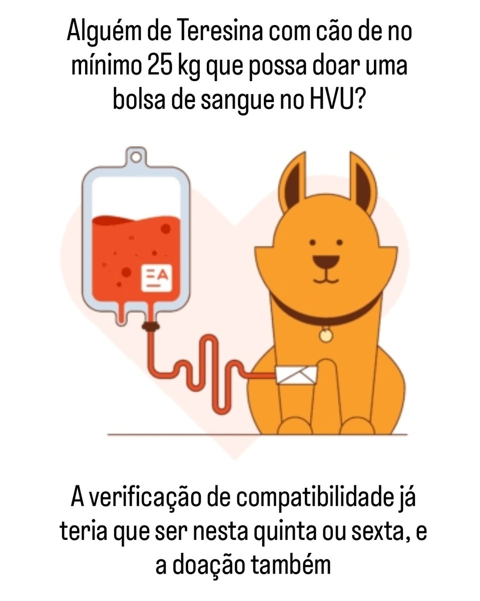 jfs_01's tweet photo. Teresina - alguém com cão que possa fazer doação de sangue? https://t.co/2V33uKAHav