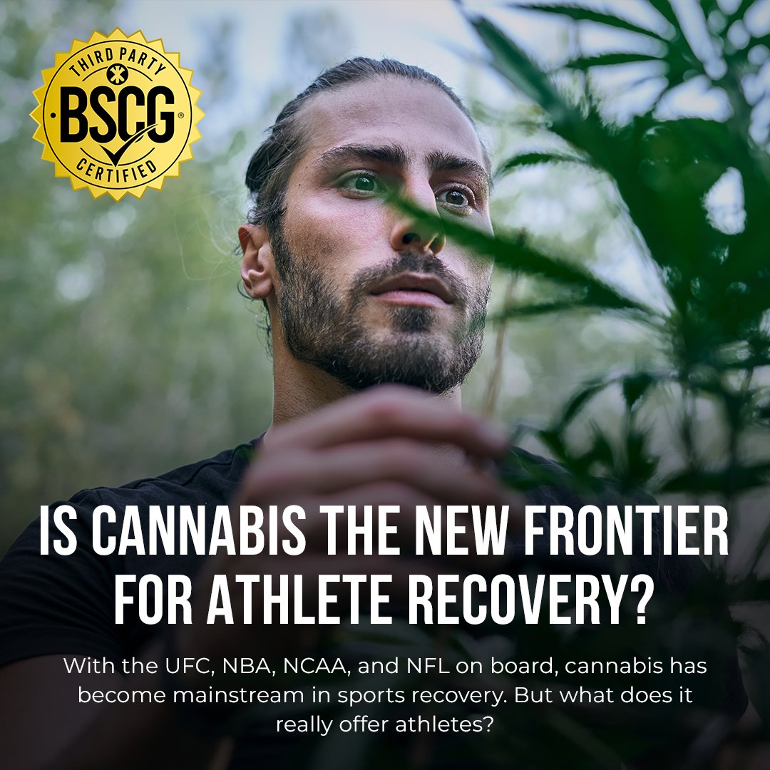 BSCG Certified tweet media