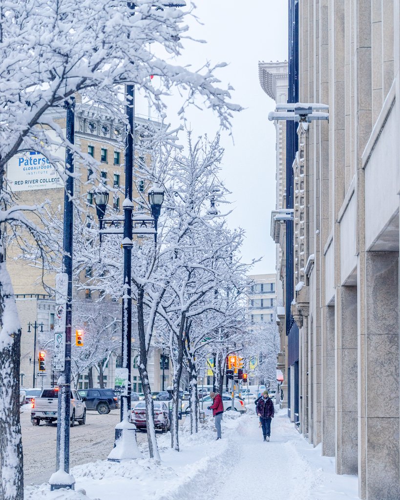 MikePrattPhotos's tweet photo. I almost don't mind winter with scenes like this :) #Winnipeg https://t.co/Akw3vodgmd