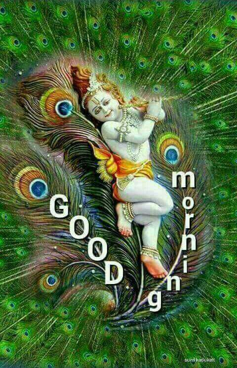 Sushila Choudhary tweet media