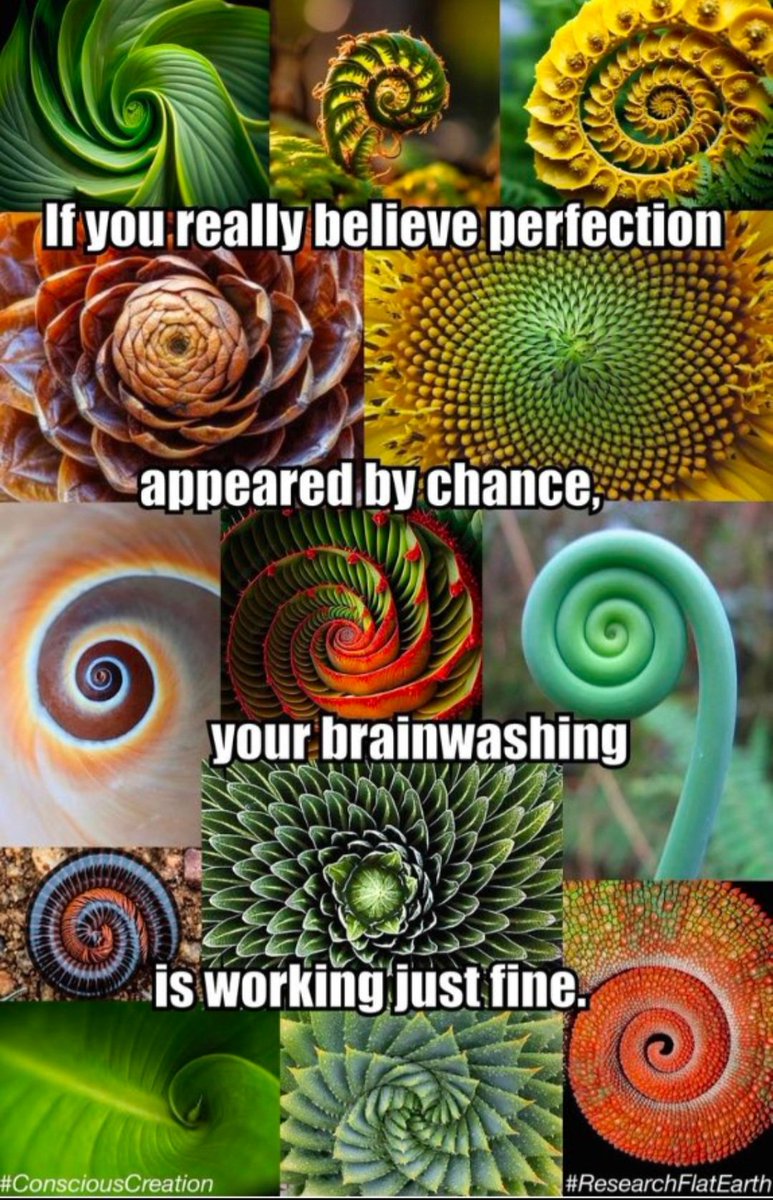 TrevorL415's tweet photo. You have a Creator
You have a soul
#GODPROOFS #GodsCreations
Your ancient ancestor is a spongeπ§½ You are not made of stardust β¨ https://t.co/5TAbQqqJXo