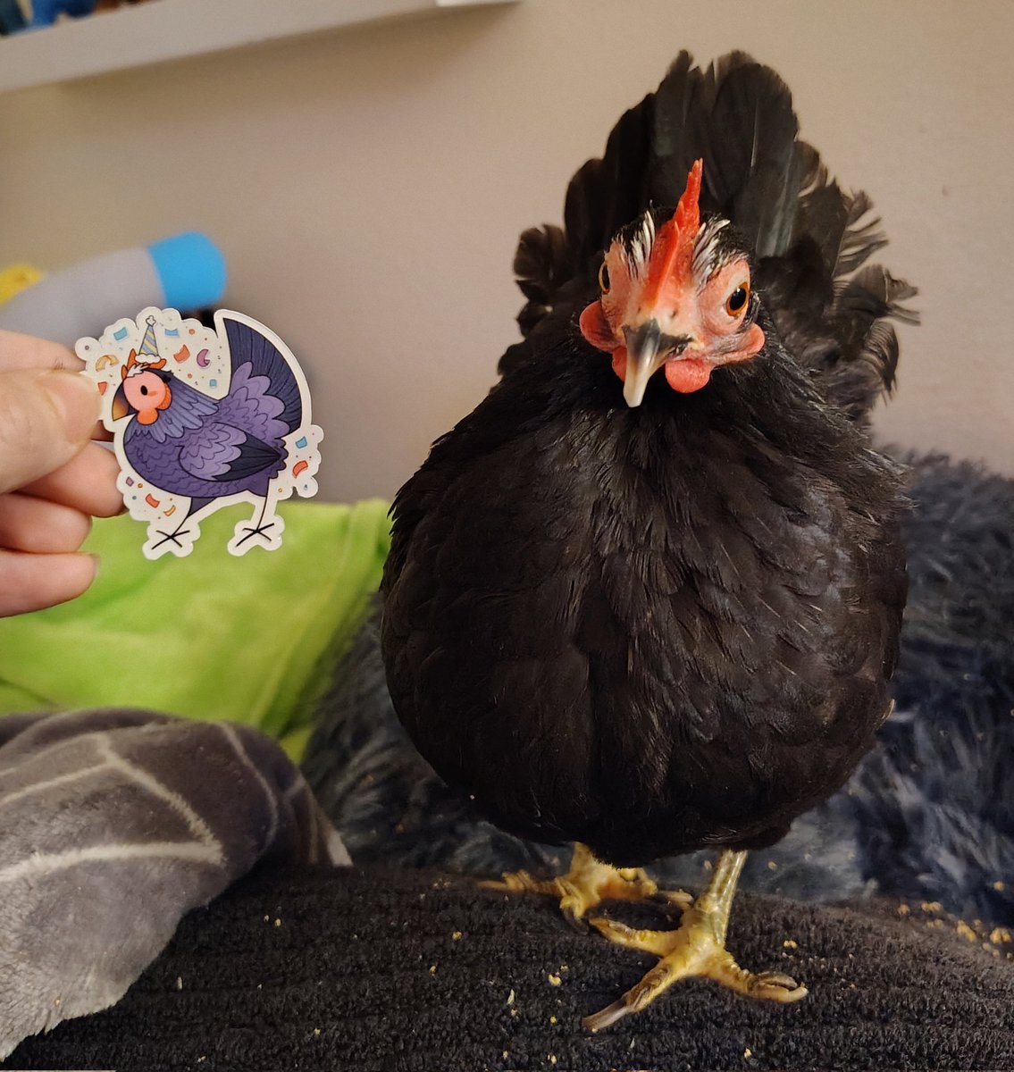 PocketPoultry's tweet photo. Special delivery from @badrechicken

Do yourself a favor and grab some stickers from them, look how good these are!!

Even spaghetti has a favorite ❤️ https://t.co/NKWpwVacKN