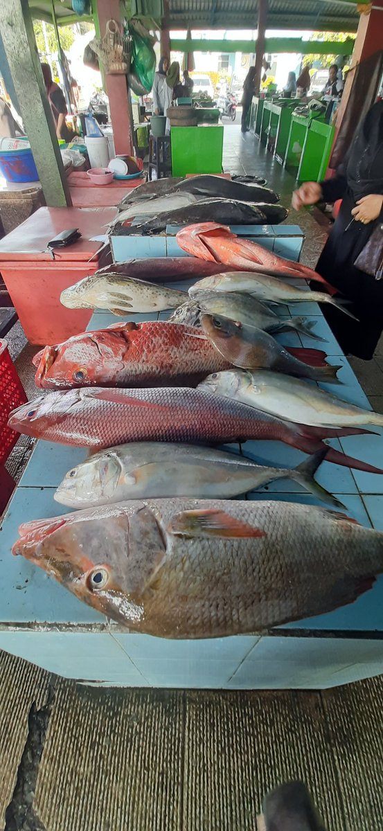 Nurlely_Ey's tweet photo. Kamis (12/12), Nurlely, Luhkan Kota Ternate, di Pelaku Utamabapak hijra. Kel.Bastiong Talangame, melaporkan produksi ikan domersal , Desember 2024, sebanyak 100 kg, harga jual 60.000/kg
#GiatLuhkanSatminkalAmbon #Ternate #Produks https://t.co/PeE8Z2z5c9