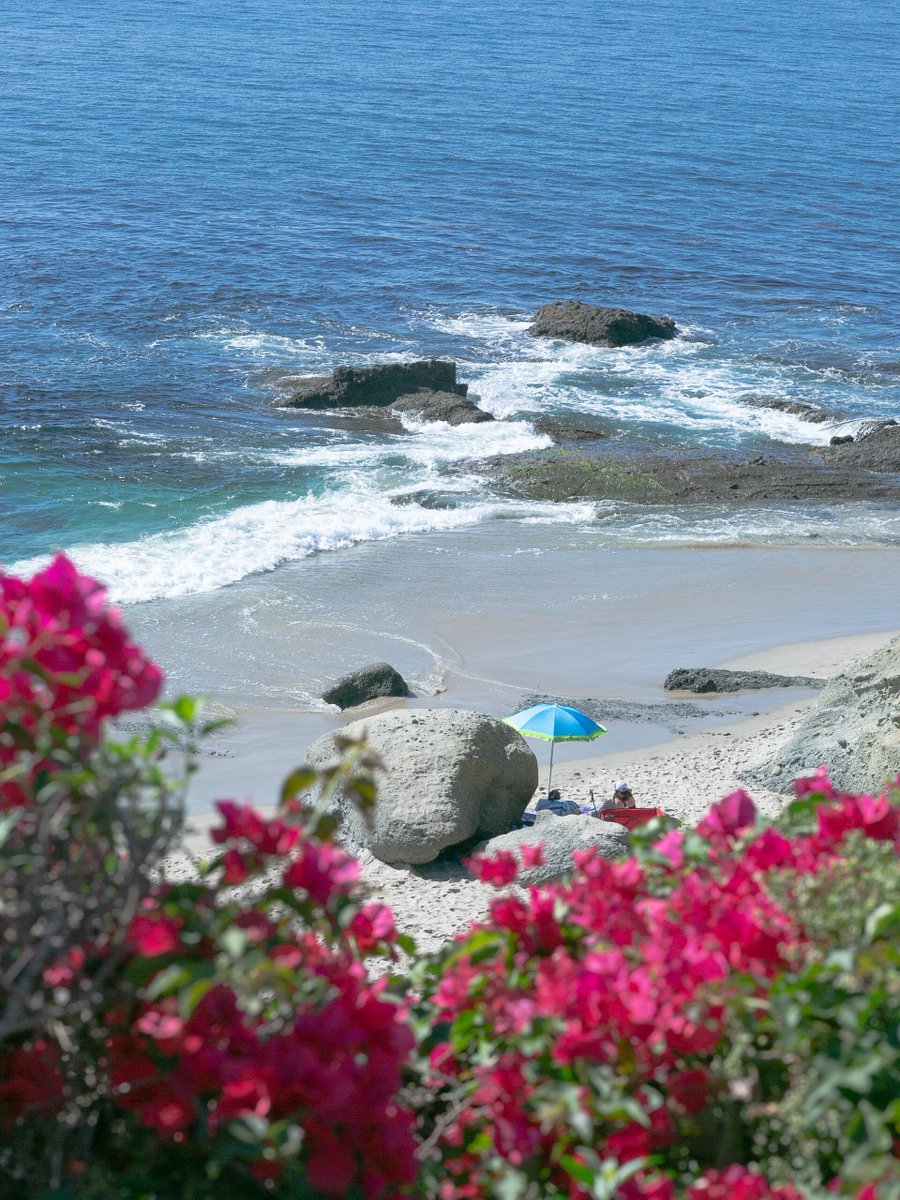 Escape to paradise where vibrant flowers frame golden sands and the ocean whispers your worries away. 🏖️🌺